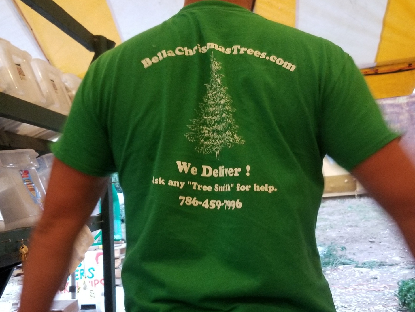 Christmas trees at Bella
