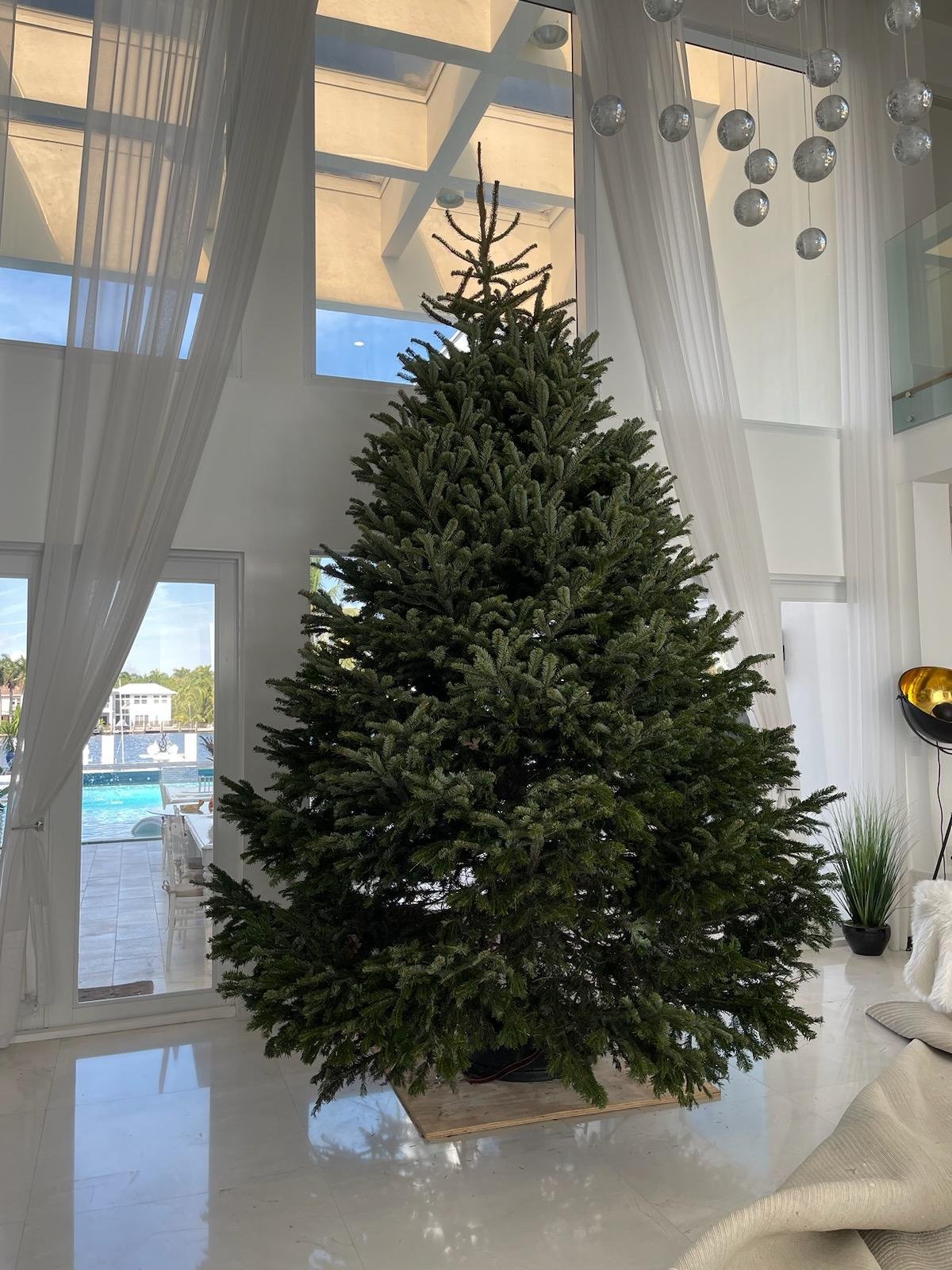 Holiday display