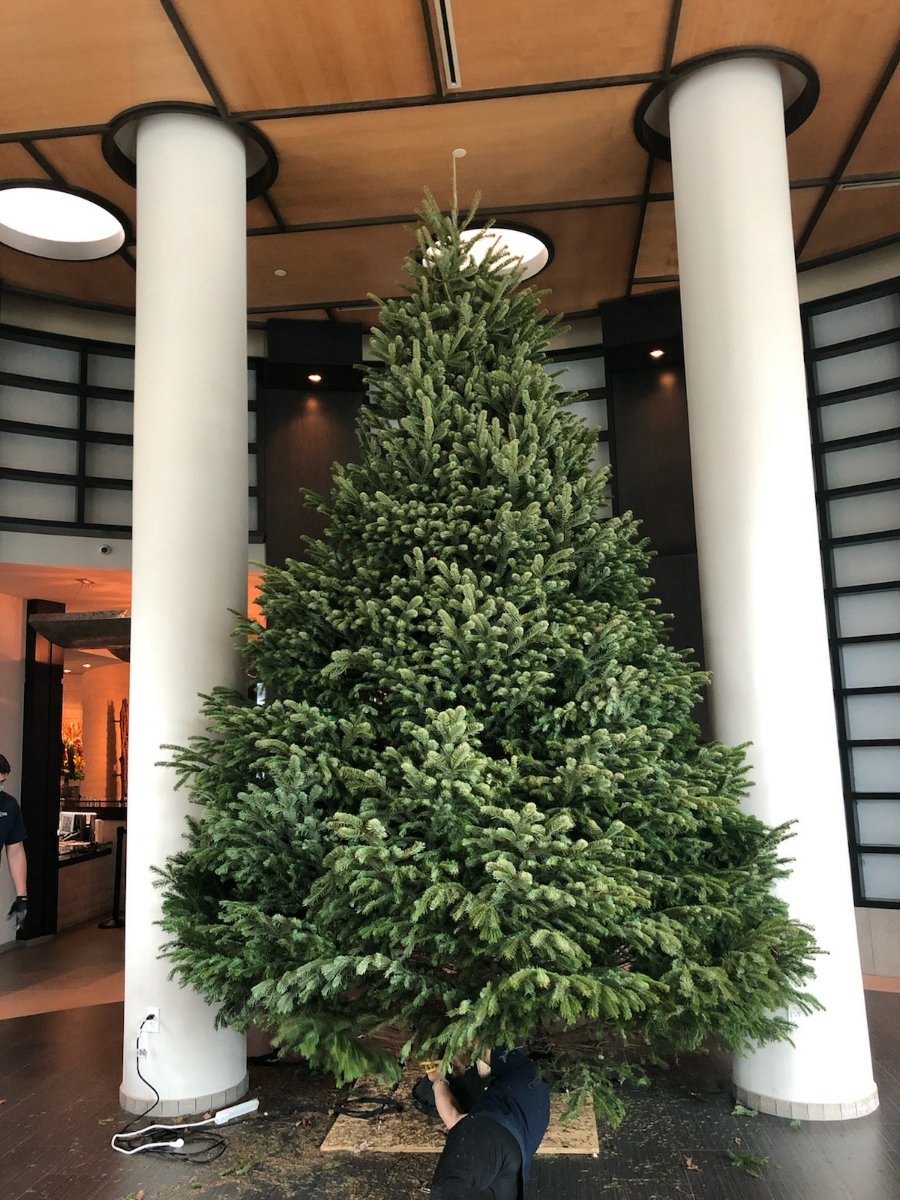 Christmas at Bella