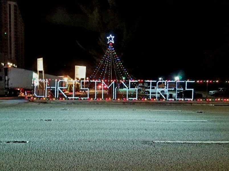 Bella tree lot